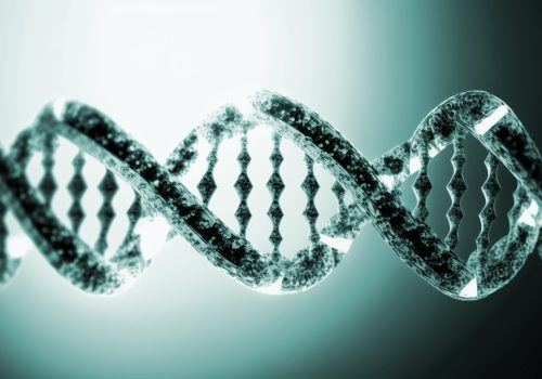 A Guide to Preimplantation Genetic Diagnosis (PGD)